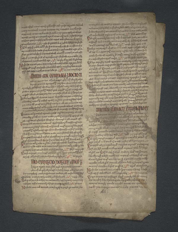 (3) folio 2 recto - 