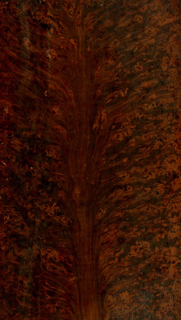 (1)