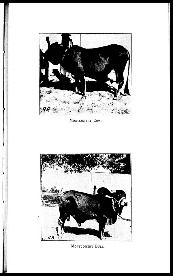 (69) Plate -