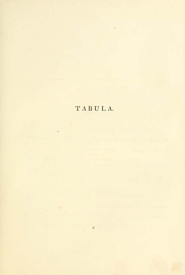 (81) Tabula - 