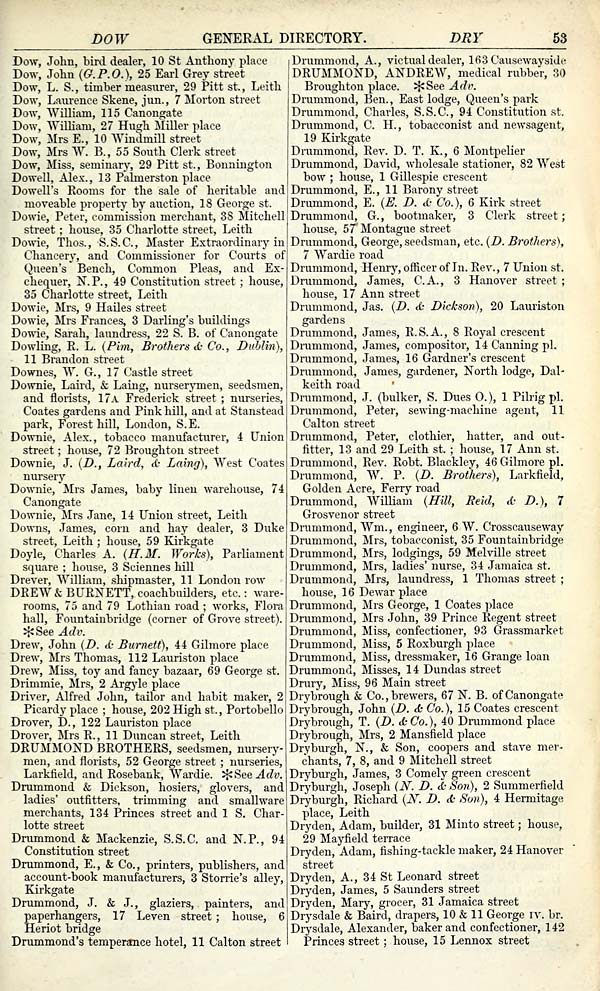 (81)