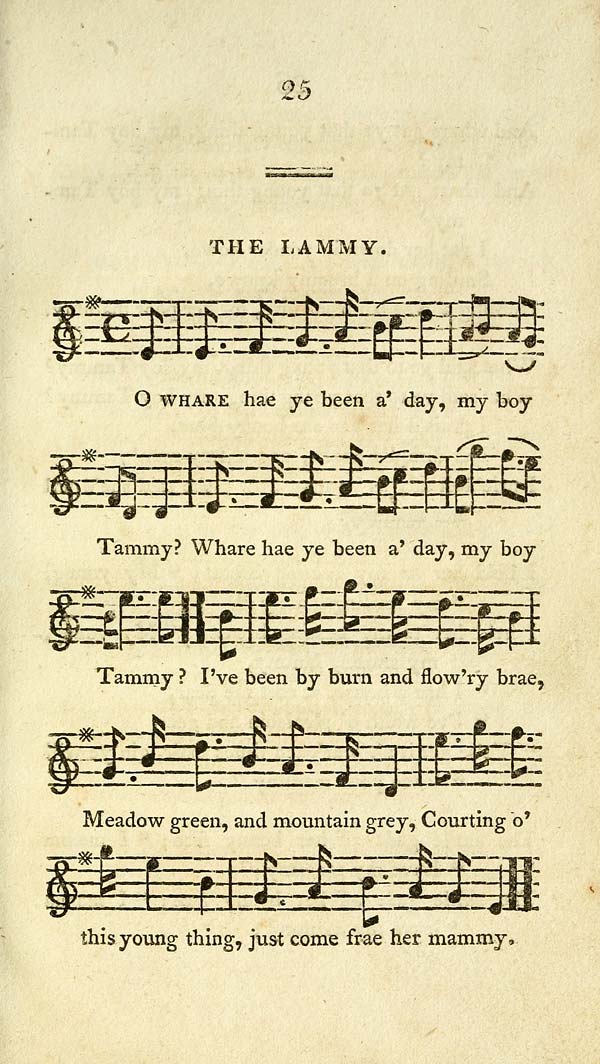 (37) Page 25 - Lammy