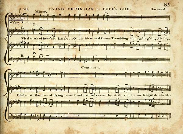(95) Page 85 - Dying christian or Pope's ode