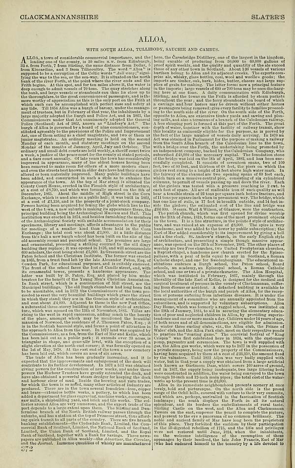 (1036)