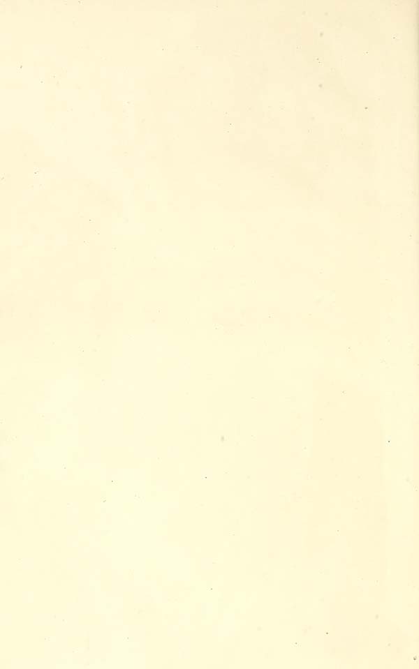 (4)