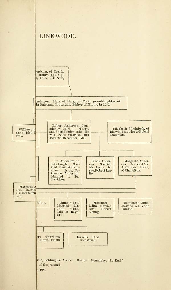 (47) Folded genealogical chart - 