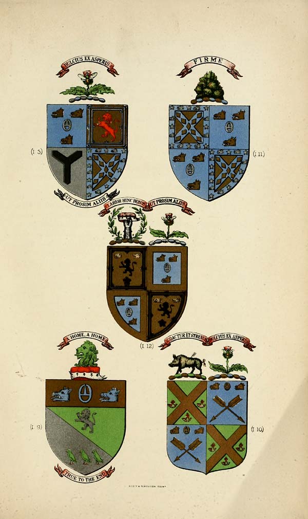 (397) Plate IV - Heraldic plate, 4