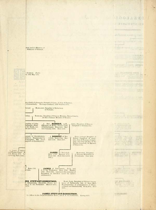 (11) Folded genealogical chart - Genealogical chart: Stewarts of Fothergill