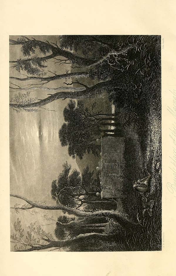 (8) Frontispiece - Burial place of the MacNabs