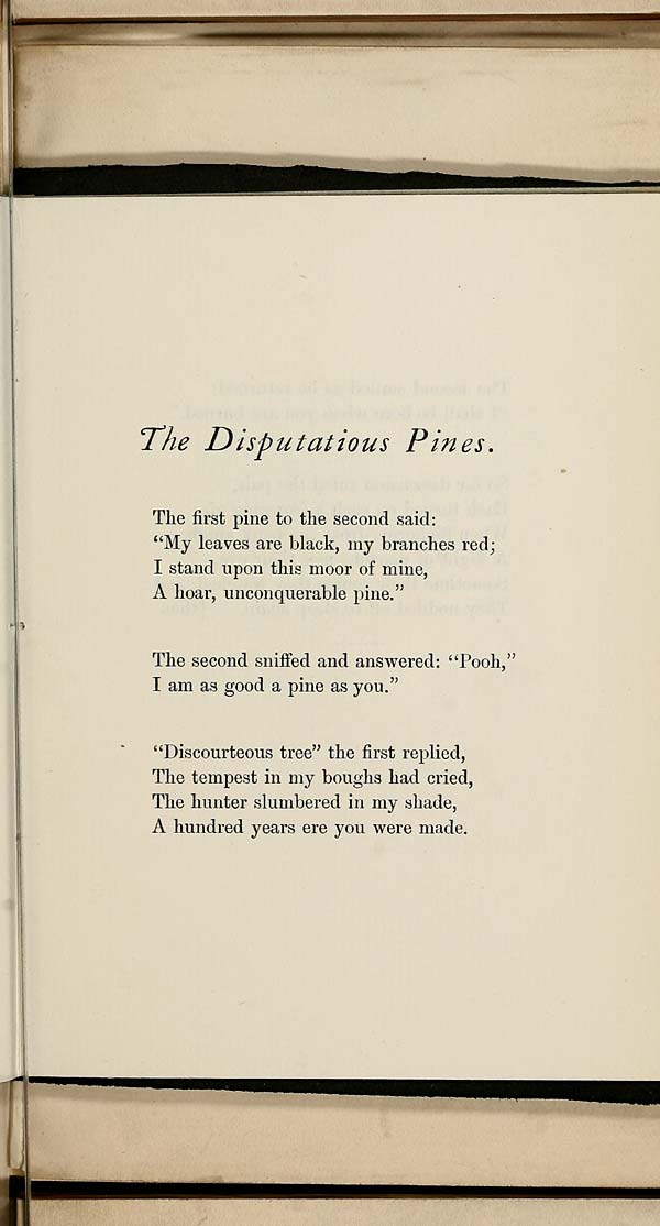 (137) [Page 9] - Disputatious pines