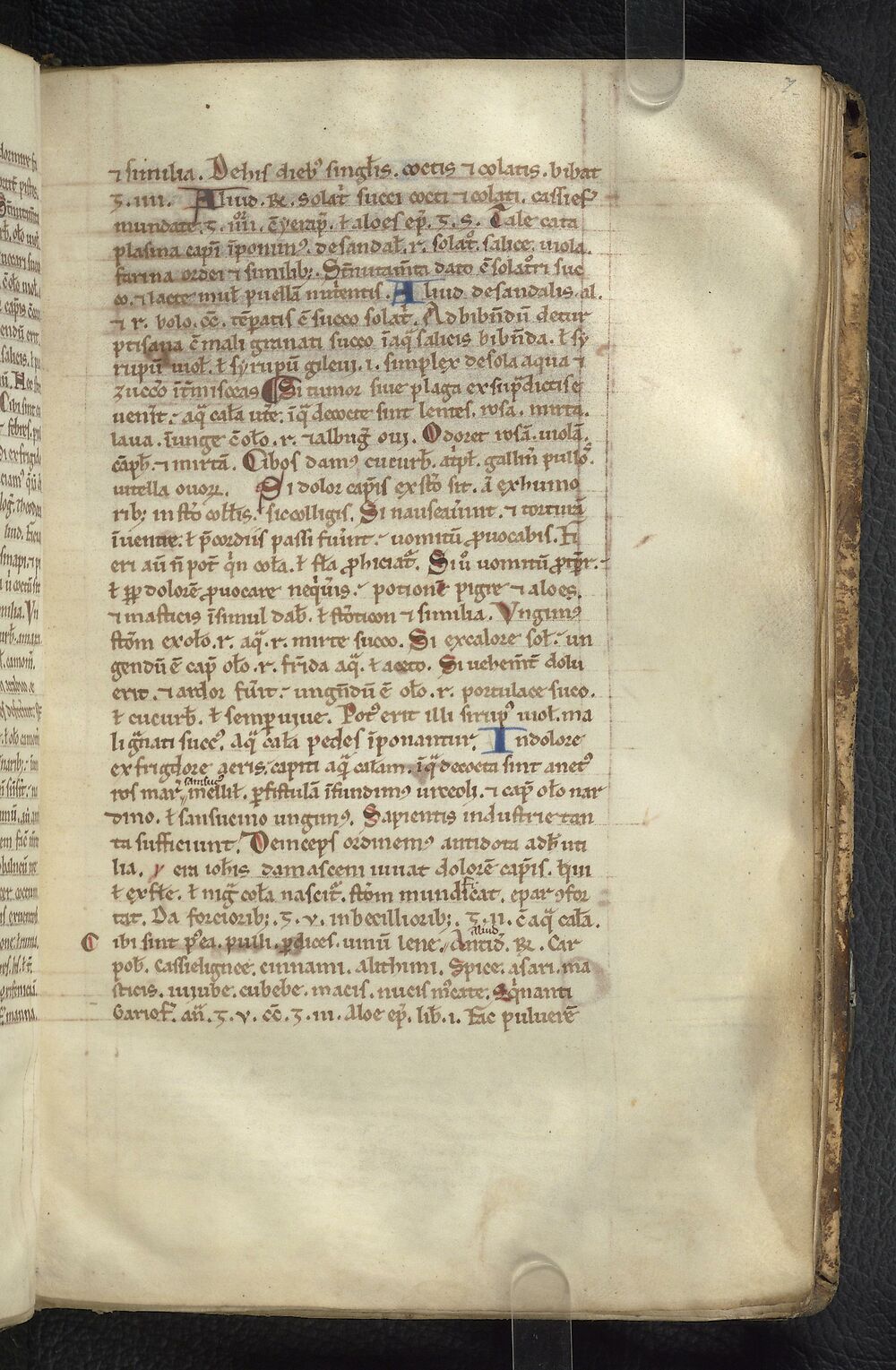 (19) Manuscripts from England > Manuscript of the 'Viaticum' of