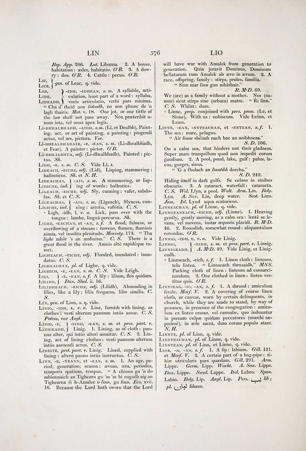 646 Blair Collection Dictionarium Scoto Celticum Volume I Early Gaelic Book Collections National Library Of Scotland