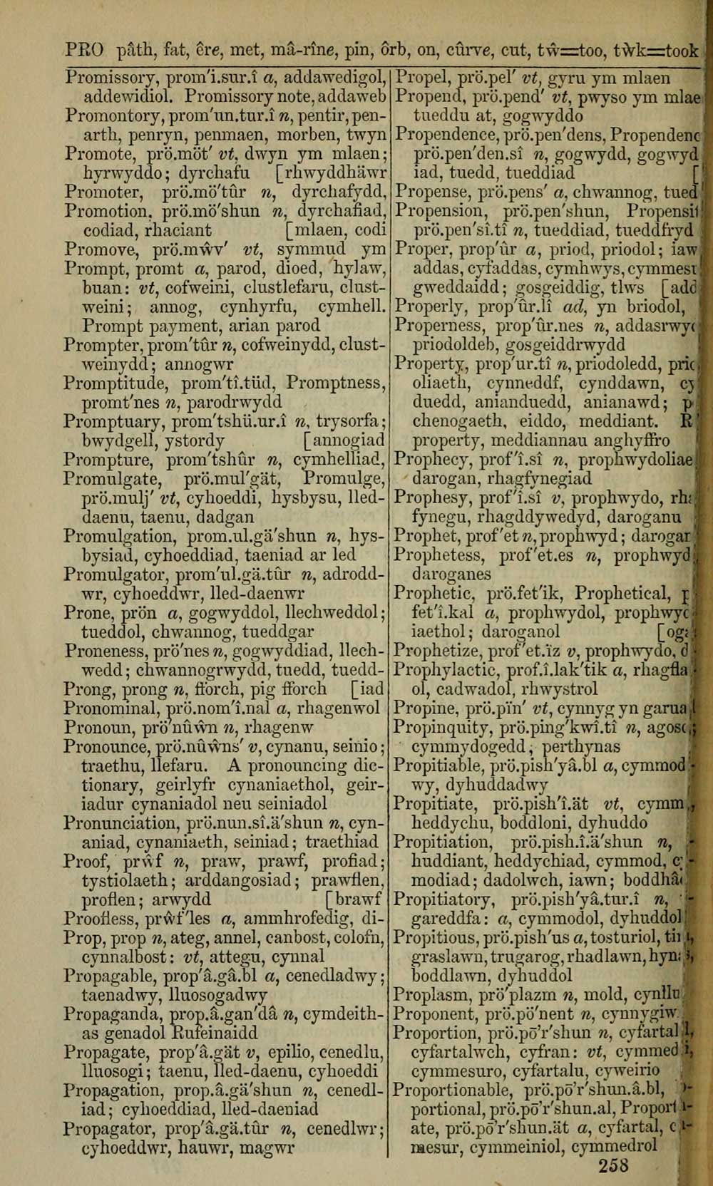 2 J F Campbell Collection English Welsh Pronouncing Dictionary With Preliminary Observations On The Elementary Sounds Of The English Language A Copious Vocabulary Of The Roots Of English Words And A