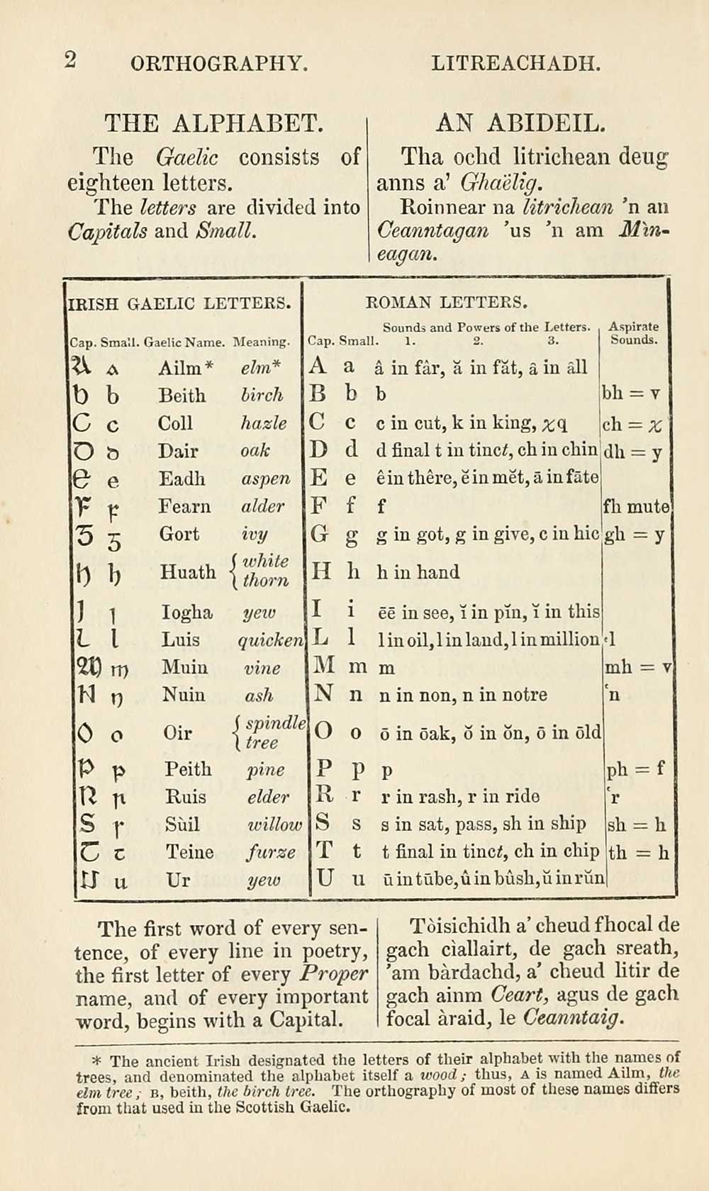 (28) - Blair Collection > Principles of Gaelic grammar - Early Gaelic ...