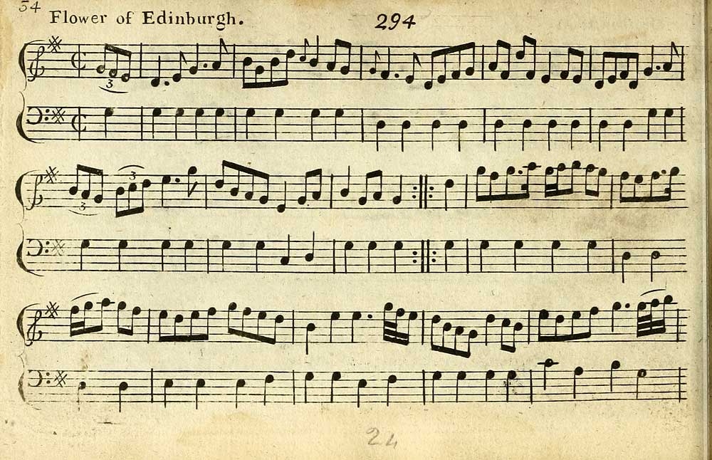 The flowers of Edinburgh from Rizzio & beyond Terre Celtiche Blog