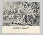 Folio 94First elephant ride in Perak in 1883