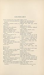 Page 413Glossary