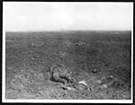 O.939Battlefield after a Canadian charge
