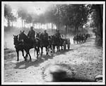 C.445Troops coming through a wood