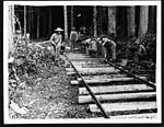C.1858Laying down a railroad through the forest
