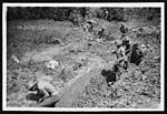 D.1517Sappers digging a communication trench near Messines
