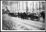 D.736Guns on their way to the front through the snow of northern France
