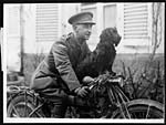 L.507Stunter, the clever mascot of the Tank Corps who, owing to his experience gained by riding about in Tanks, can balance himself on the bars of a motor-bicycle
