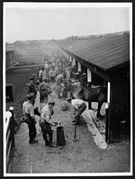 L.532Busy scene of shoeing horses in France