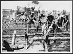 L.558British troops fixing barbed wire to racks which are used to protect our trenches