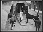 L.780Useful form of horse ambulance being used in France