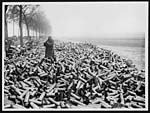 N.381Some shell cases on the roadside in the front area, the contents of which have been despatched over into the German lines