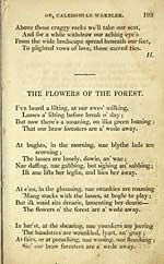 Page 193Flowers of the forest