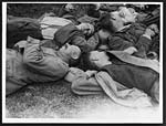 C.1797Worn out German prisoners taken in the new push round Messines