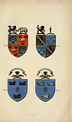 Plate VIHeraldic plate, 6