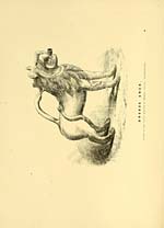 Illustrated plateBronze ewer